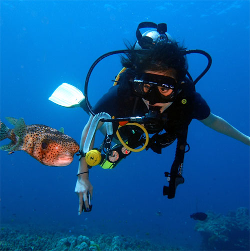 プーケットの海で魚と一緒に体験ダイビングを楽しむ様子