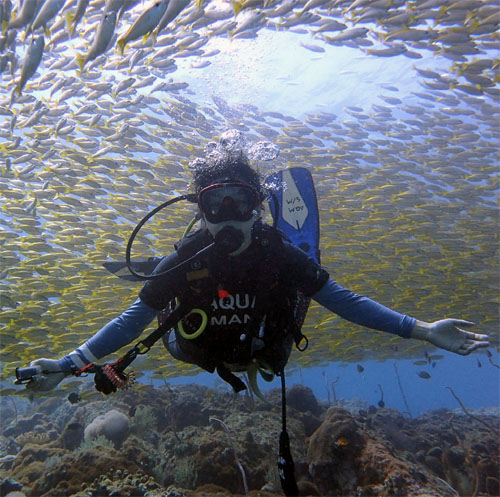 プーケットのピピ島でファンダイビングをしたときに、魚の群れに囲まれるファンダイバー