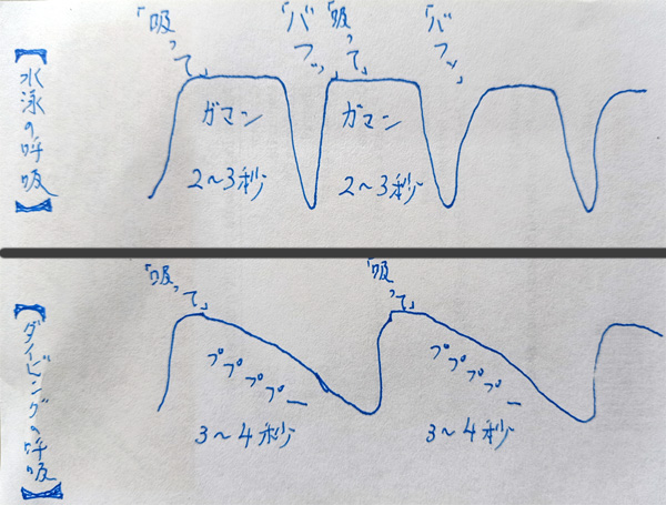 水泳の呼吸と、ダイビングの呼吸