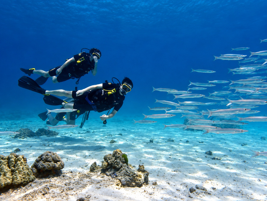 プーケットの海で魚の群れと一緒に泳ぐダイバー